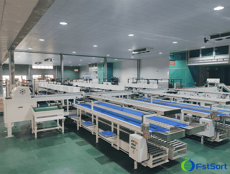 images/1747387344599Citrus Packing Line.png